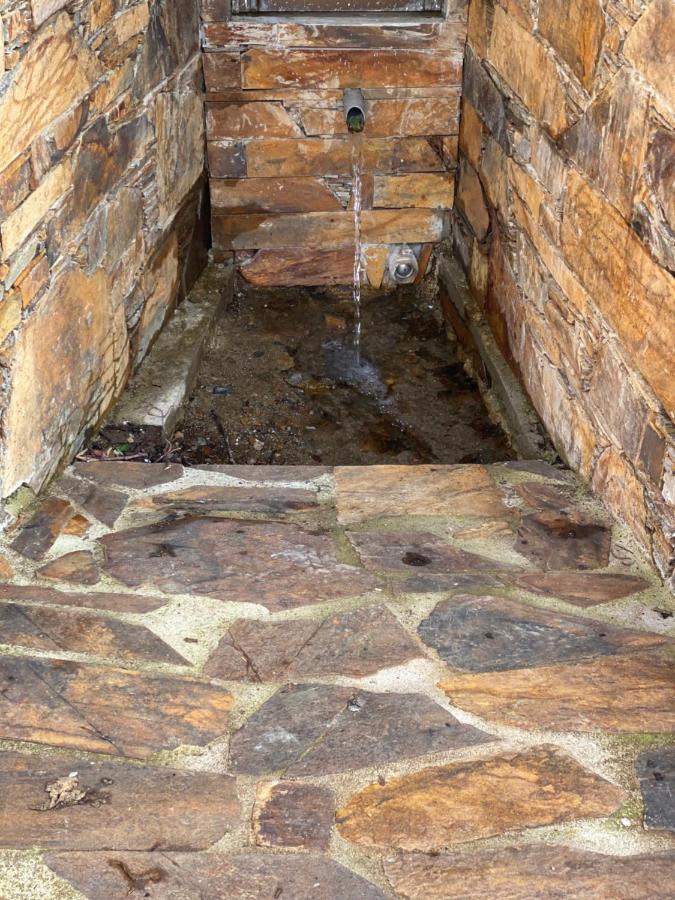 Isabel House Alojamento Rural Pampilhosa da Serra Zewnętrze zdjęcie
